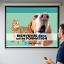 Diaporama Formateur PSCF - Premiers Secours Canins & Félins | Abonnement 12 mois