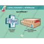 Diaporama Formateur PSCF - Premiers Secours Canins & Félins | Abonnement 12 mois