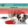 Diaporama Formateur PSCF - Premiers Secours Canins & Félins | Abonnement 12 mois