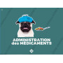 Diaporama Formateur PSCF - Premiers Secours Canins & Félins | Abonnement 12 mois