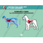 Diaporama Formateur PSCF - Premiers Secours Canins & Félins | Abonnement 12 mois