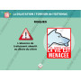 Diaporama Formateur PSCF - Premiers Secours Canins & Félins | Abonnement 12 mois