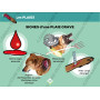 Diaporama Formateur PSCF - Premiers Secours Canins & Félins | Abonnement 12 mois