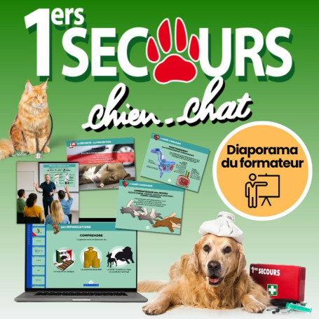 Diaporama Formateur PSCF - Premiers Secours Canins & Félins | Abonnement 12 mois