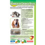 Le guide pratique des premiers secours chiens & chats