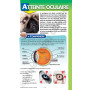 Le guide pratique des premiers secours chiens & chats