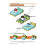 LIVRE DE FORMATION INTERACTIF DU JEUNE SAPEUR-POMPIER CYCLE 3