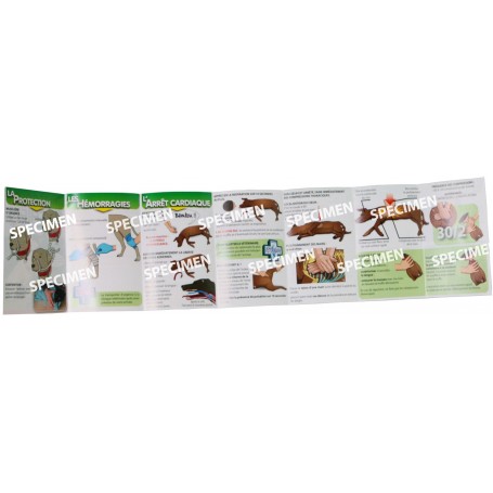 Le Lot De Depliants 1ers Secours Pour Mon Chien Et Mon Chat Le Lot De Depliants 1ers Secours Pour Mon Chien Et Mon Chat