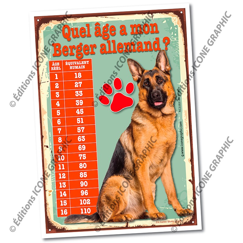 Marqueur B6 Berger Berger Allemand Magnet Aimant Chien avec Ardoise Magnétique Frigo 