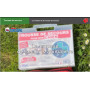 Formation aux premiers secours canins et félins en ligne