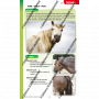 LE GUIDE PRATIQUE : 1ERS SECOURS EQUESTRES