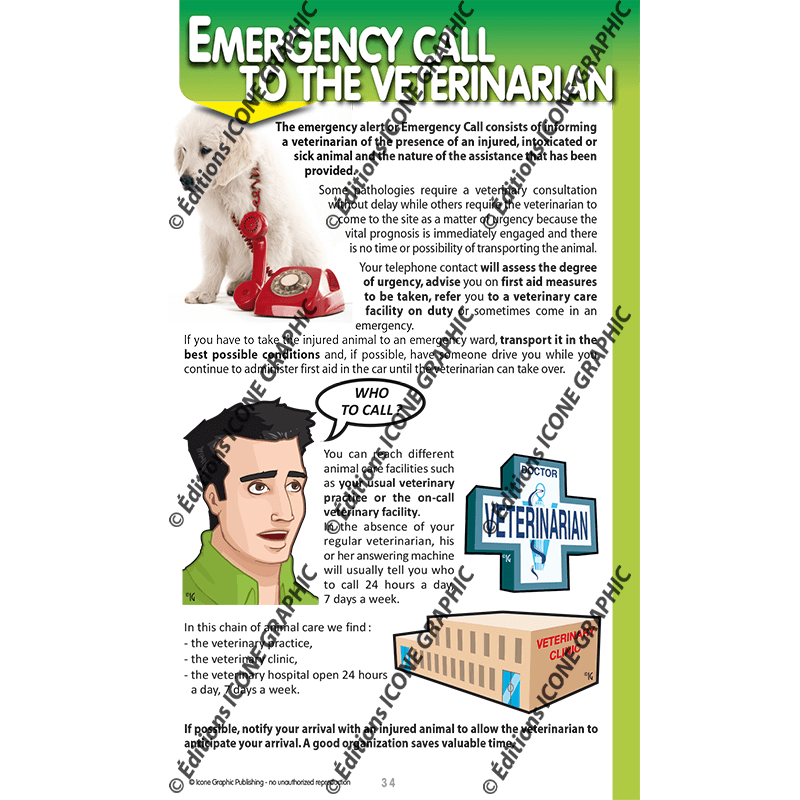 PRACTICAL GUIDE 1ST AID FOR MY DOG