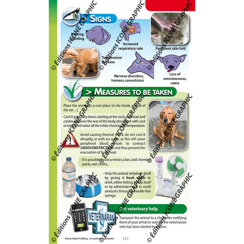 PRACTICAL GUIDE 1ST AID FOR MY DOG