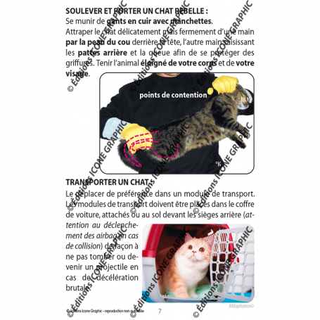Le Memento Premiers Secours Pour Mon Chat I Editions Icone Graphic