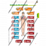 L'ESSENTIEL OPERATIONNEL DE L'EQUIPIER SAPEUR-POMPIER - DESTOCKAGE