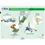 LA CLE USB FORMATEUR PREMIERS SECOURS EN EQUIPE - PSE1