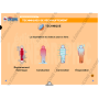 LA CLE USB FORMATEUR PREMIERS SECOURS EN EQUIPE - PSE1