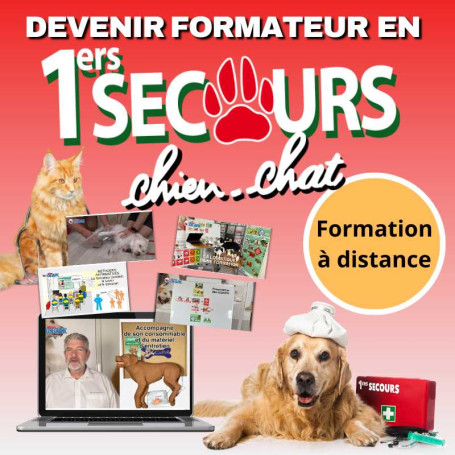 Formation à distance de formateur en premiers secours chiens et chats