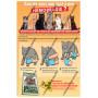 LOT DE 3 AFFICHES PREMIERS SECOURS CHIEN-CHAT + 1 AFFICHE DE COMMUNICATION