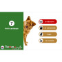 Formation aux premiers secours canins et félins en ligne