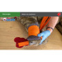 Formation aux premiers secours canins et félins en ligne