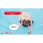 Formation aux premiers secours canins et félins en ligne