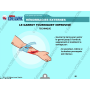 LA CLE USB FORMATEUR : GESTES QUI SAUVENT