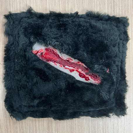 FAUSSE PLAIES DE CHIEN : PLAIE GRAVE N°1