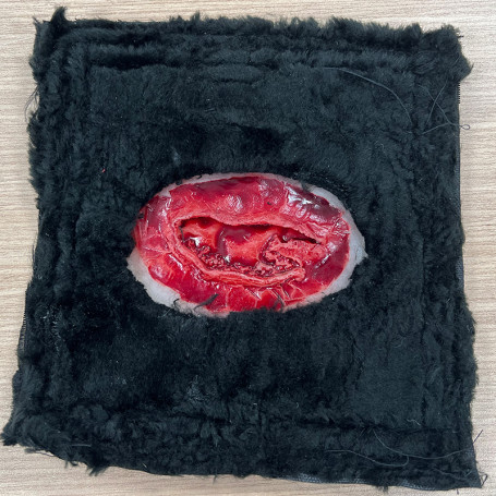 FAUSSE PLAIES DE CHIEN : PLAIE GRAVE N°2