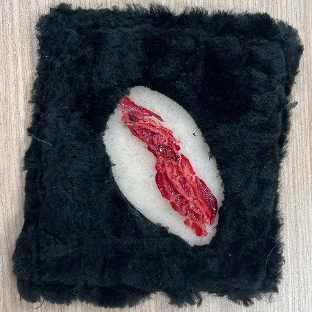 FAUSSE PLAIES DE CHIEN : PLAIE GRAVE N°3