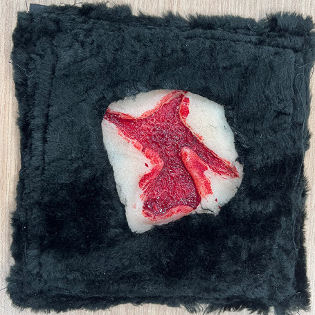 FAUSSE PLAIES DE CHIEN : PLAIE GRAVE N°4