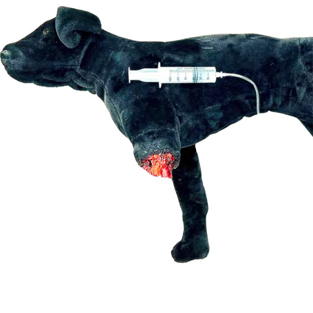 PELUCHE PÉDAGOGIQUE DE CHIEN AVEC AMPUTATION