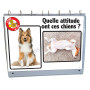 CHEVALET PEDAGOGIQUE : PREMIERS SECOURS CHIENS ET CHATS