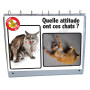 CHEVALET PEDAGOGIQUE : PREMIERS SECOURS CHIENS ET CHATS