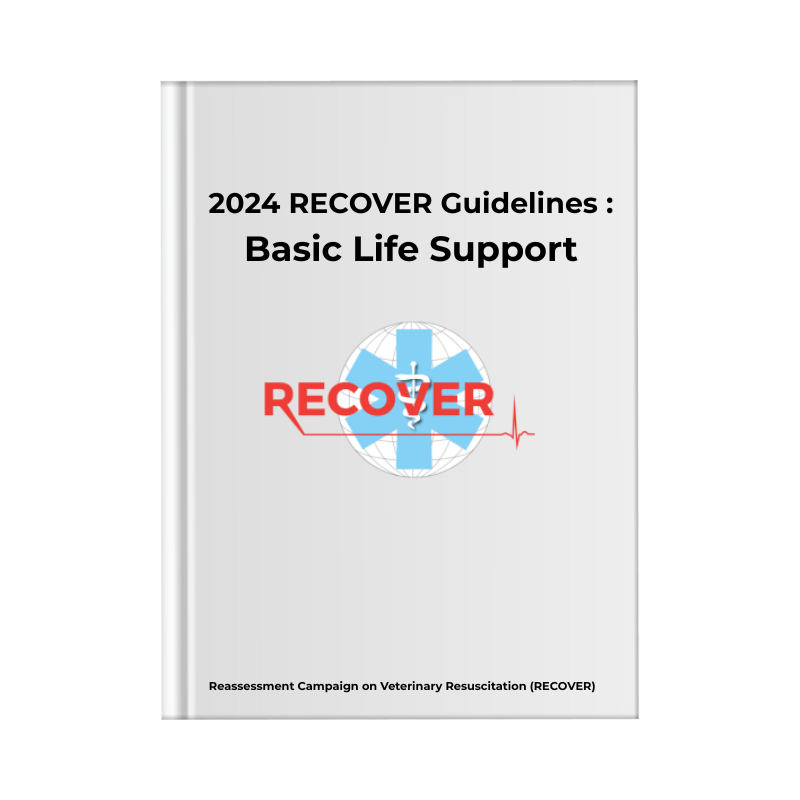 Recover 2024 Basic Life Support Guidelines