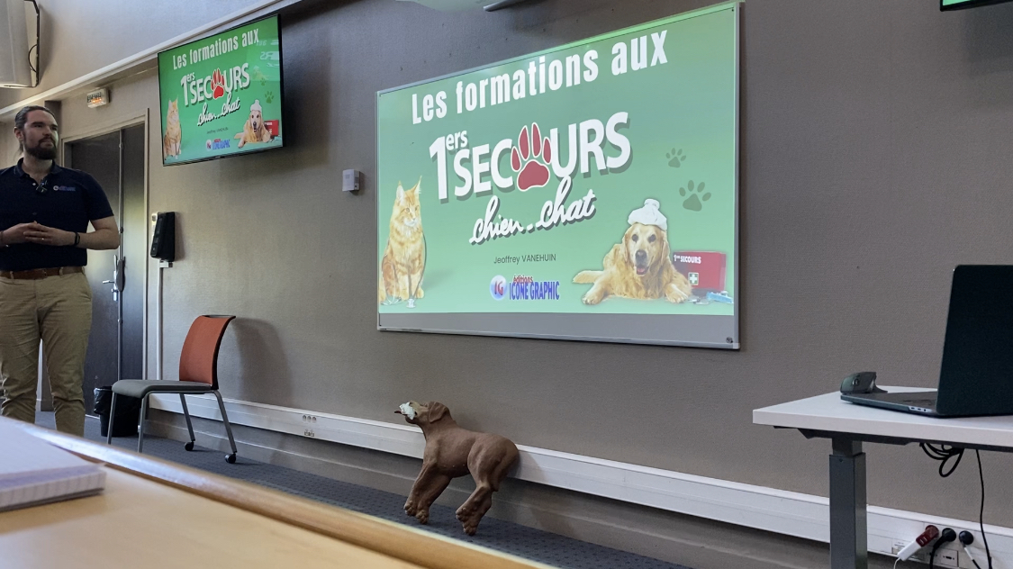 Jeudi du secourisme conference premiers secours canin felin