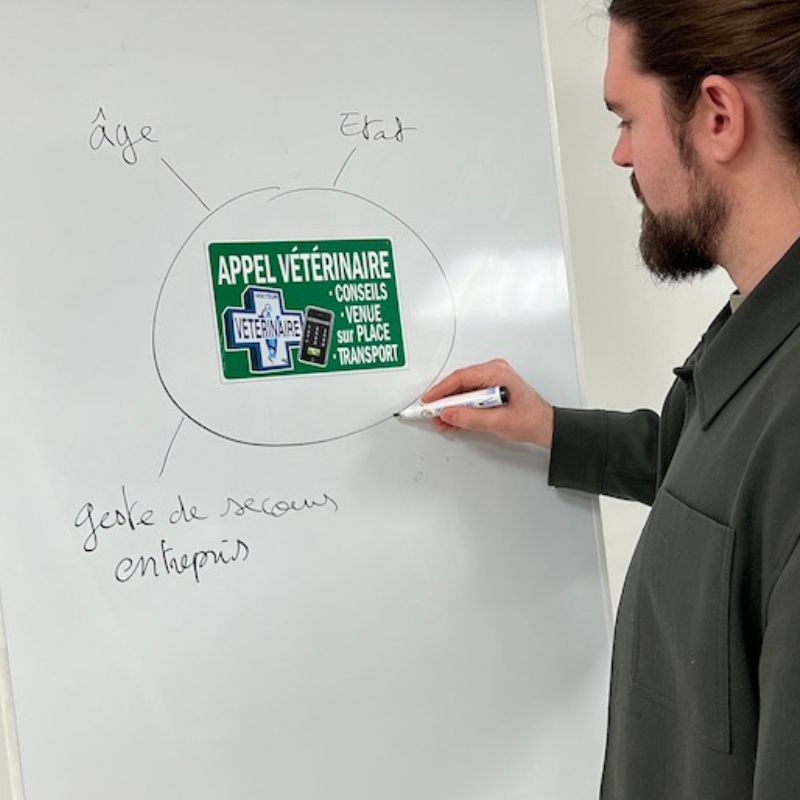Icomagnet premiers secours chien chat