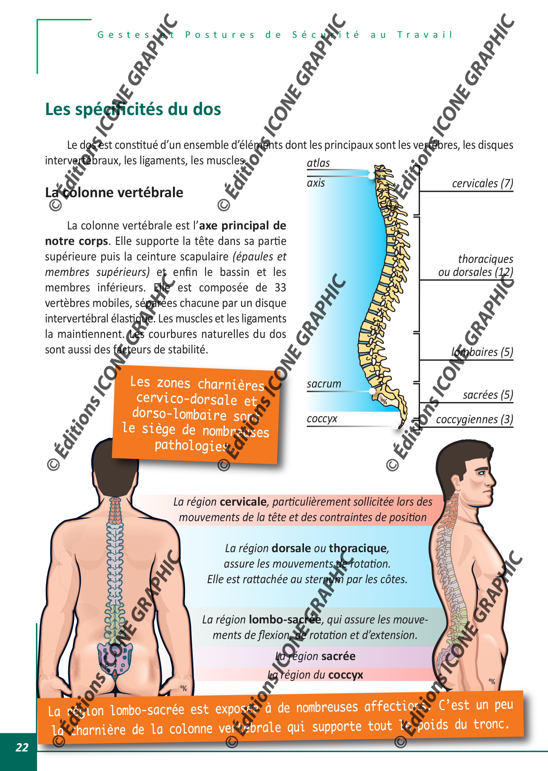 Image livres gestes et posture de sécurité au travail prévention des troubles musculo-squelettiques (TMS) Editions Icone Graphic - 1