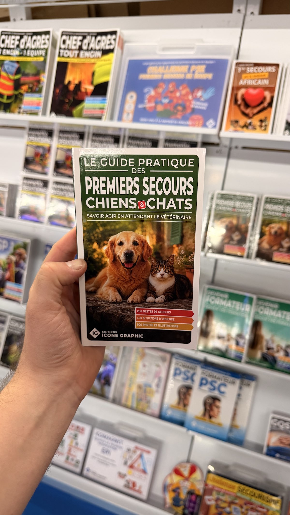 retour sur le mondial secours et protection avec icone graphic
