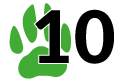 Module 10