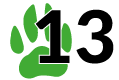 Module 13