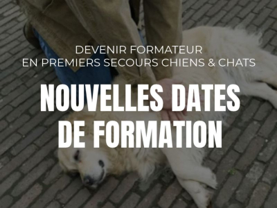 Nouvelles dates de formation : Formateur en premiers secours canins et félins 