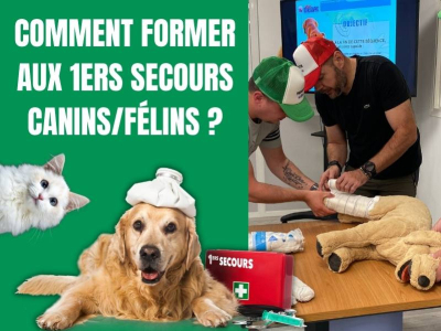 Comment former aux premiers secours canins et félins ?