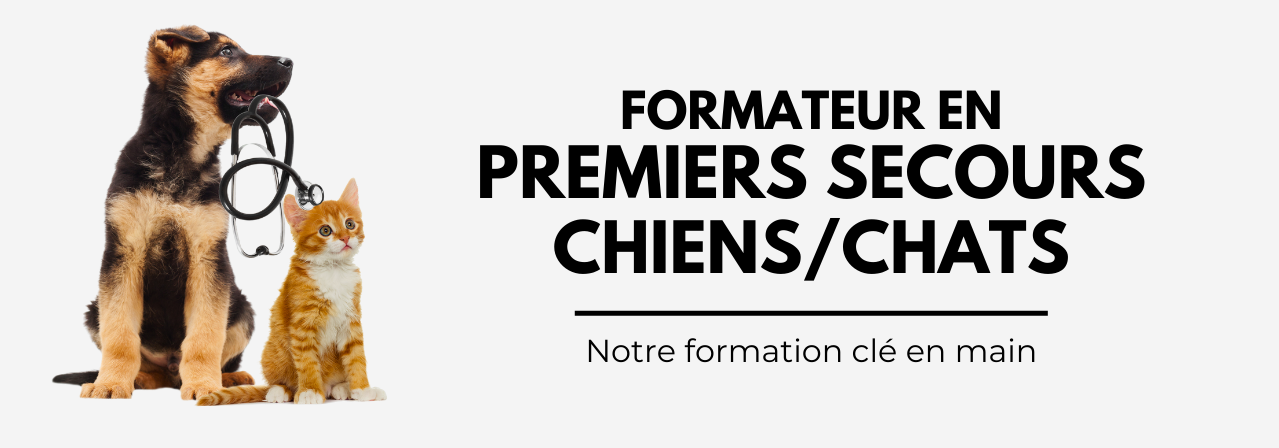 Devenir formateur chien chat Devenir formateur chien chat